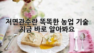 🌱 저면관수란? 똑똑한 농업 기술, 지금 바로 알아봐요! 💦